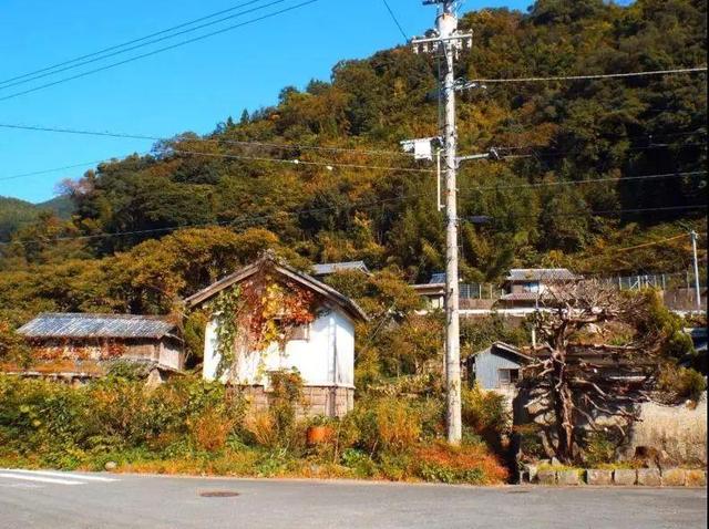 日本上胜町:日本14座最美村庄之一,老人年收入超过1000万日元!