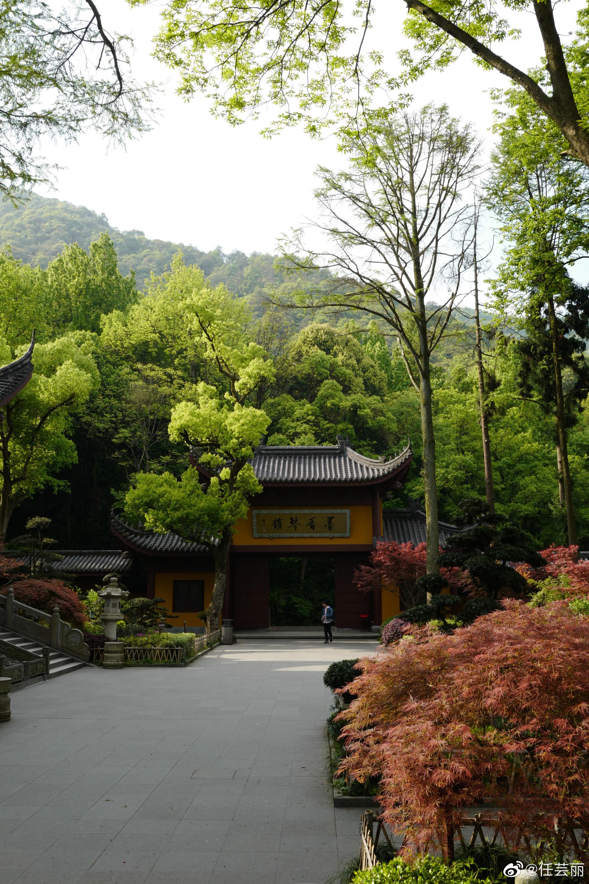 灵隐寺不止是个寺院,更是自然环境超级赞的森林公园