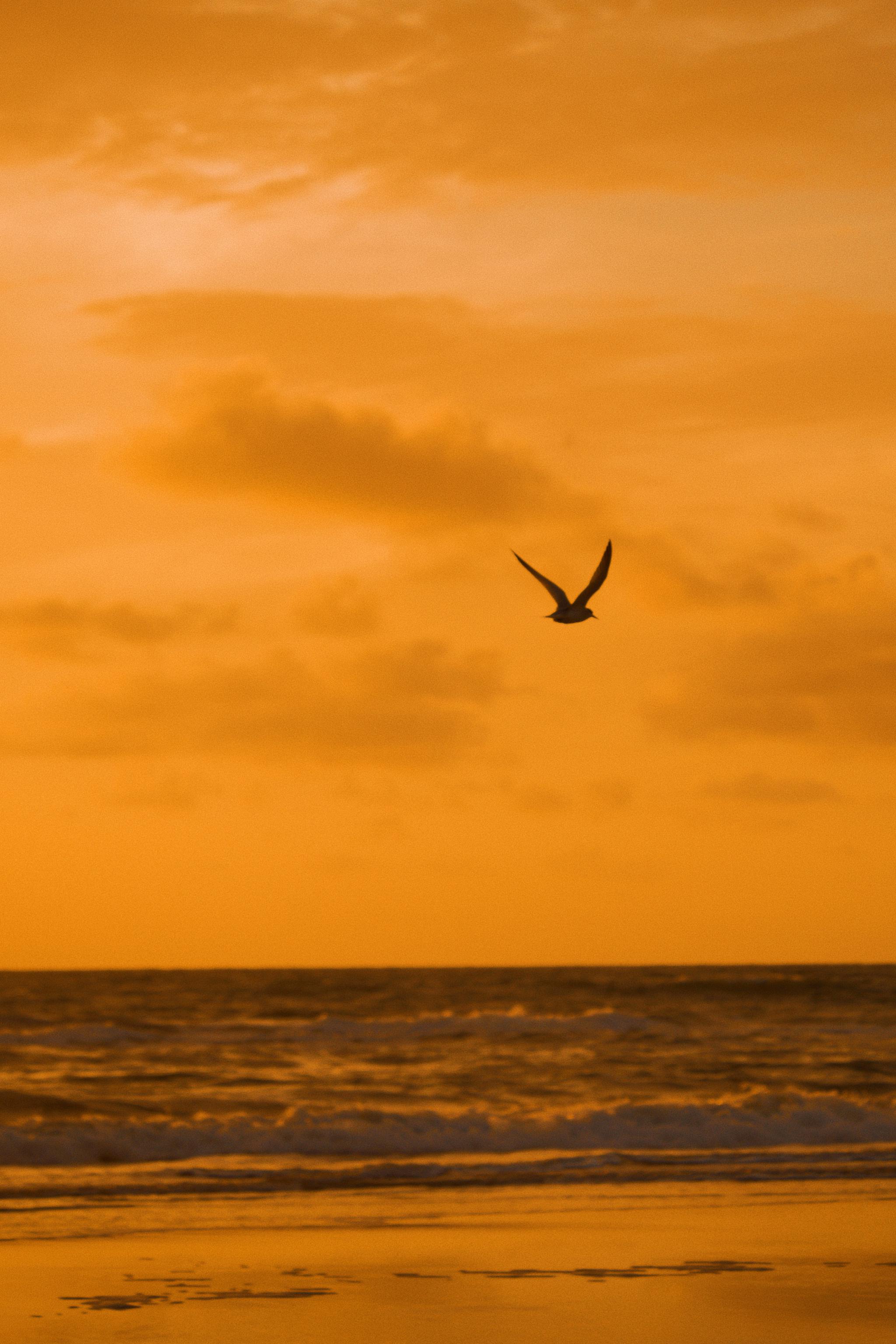 早上六点半,德通纳海滩(daytona beach)上还只有三两人在散步,我们站