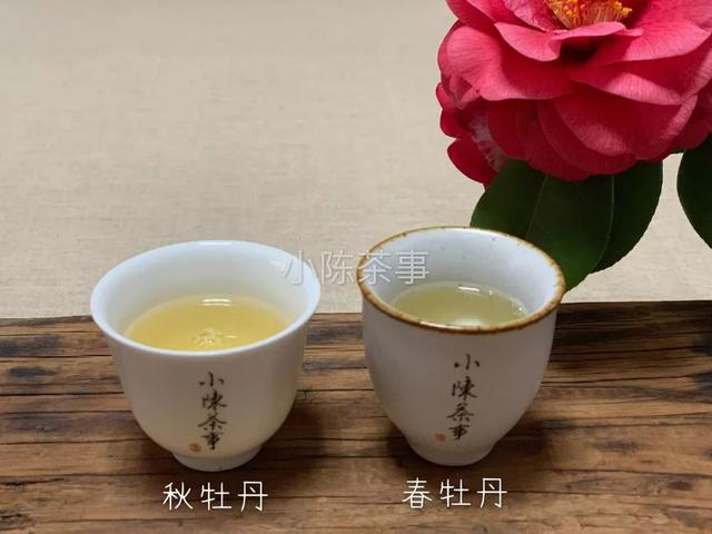 福鼎白茶的汤色都是红色的?未必,白茶的茶汤颜