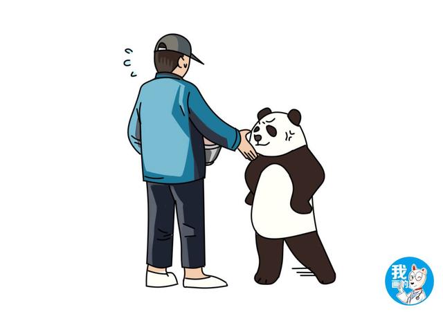 大熊猫讨食急得摆出pose,饲养员:再精一点就要管不住了