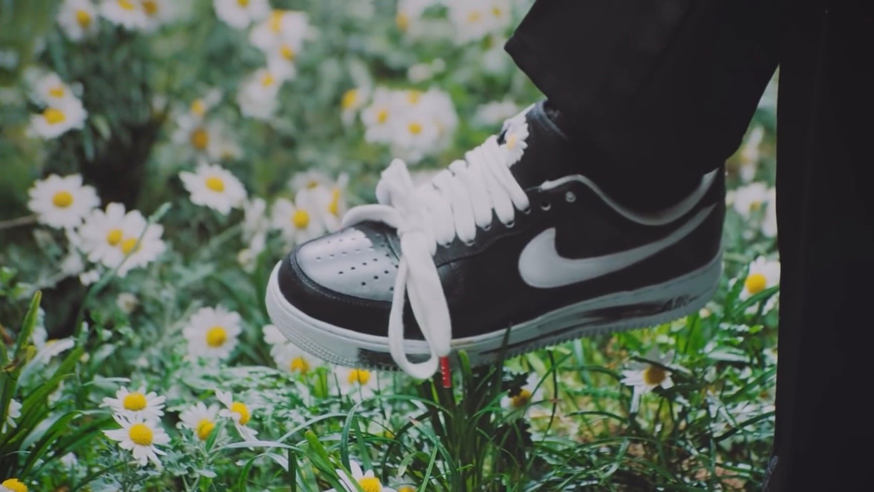 簇拥在雏菊花丛中的peaceminusonexnikeairforce1paranoise