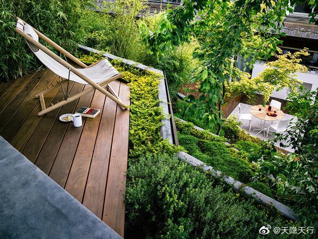 斜坡式花园充满想象__财经头条