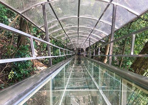 而今年   昆明西游洞又给我们带来了   升级版的旱滑道——玻璃