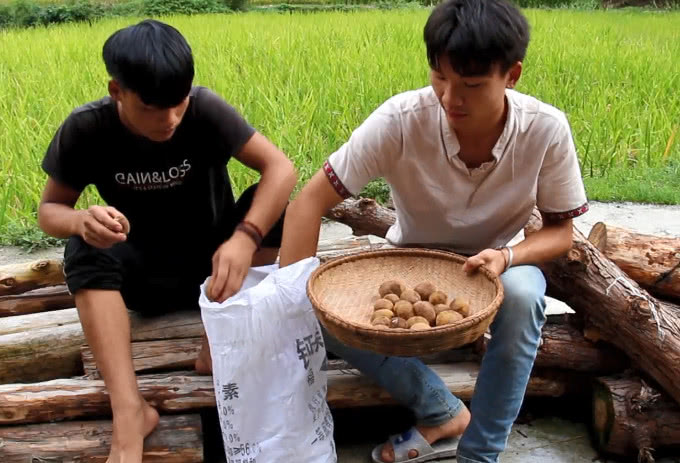 农村兄弟前些天屯了点野果子,你认识吗