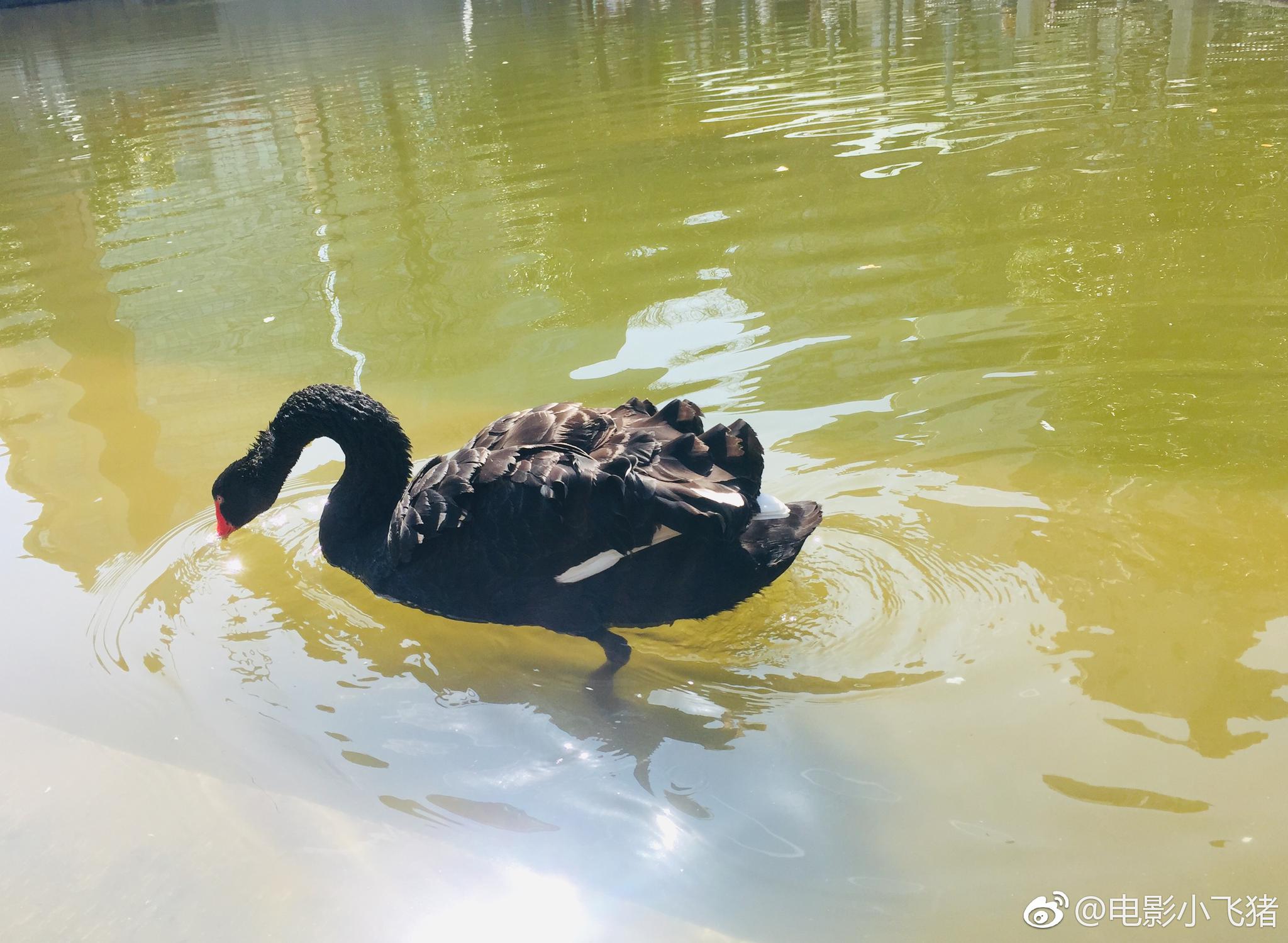 品味艺术的真谛