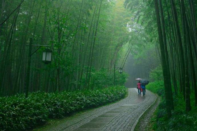 山翠自成微雨色溪花不隐乱泉声
