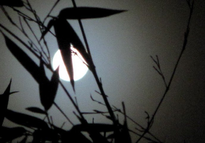 清影依稀珠箔外 二三竿竹月明中 晚安 清影依稀珠箔外 二三竿竹月明中 晚安