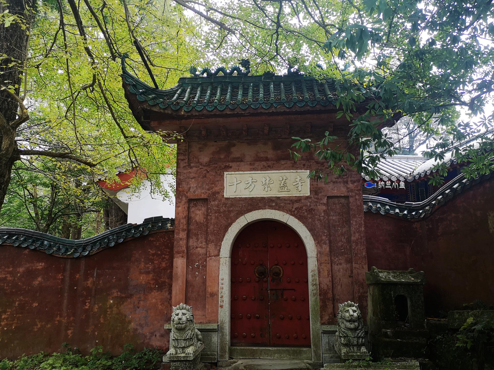 湖南衡阳:云海,梯田,茶园,花海 这么美的南岳衡山 你见过吗?