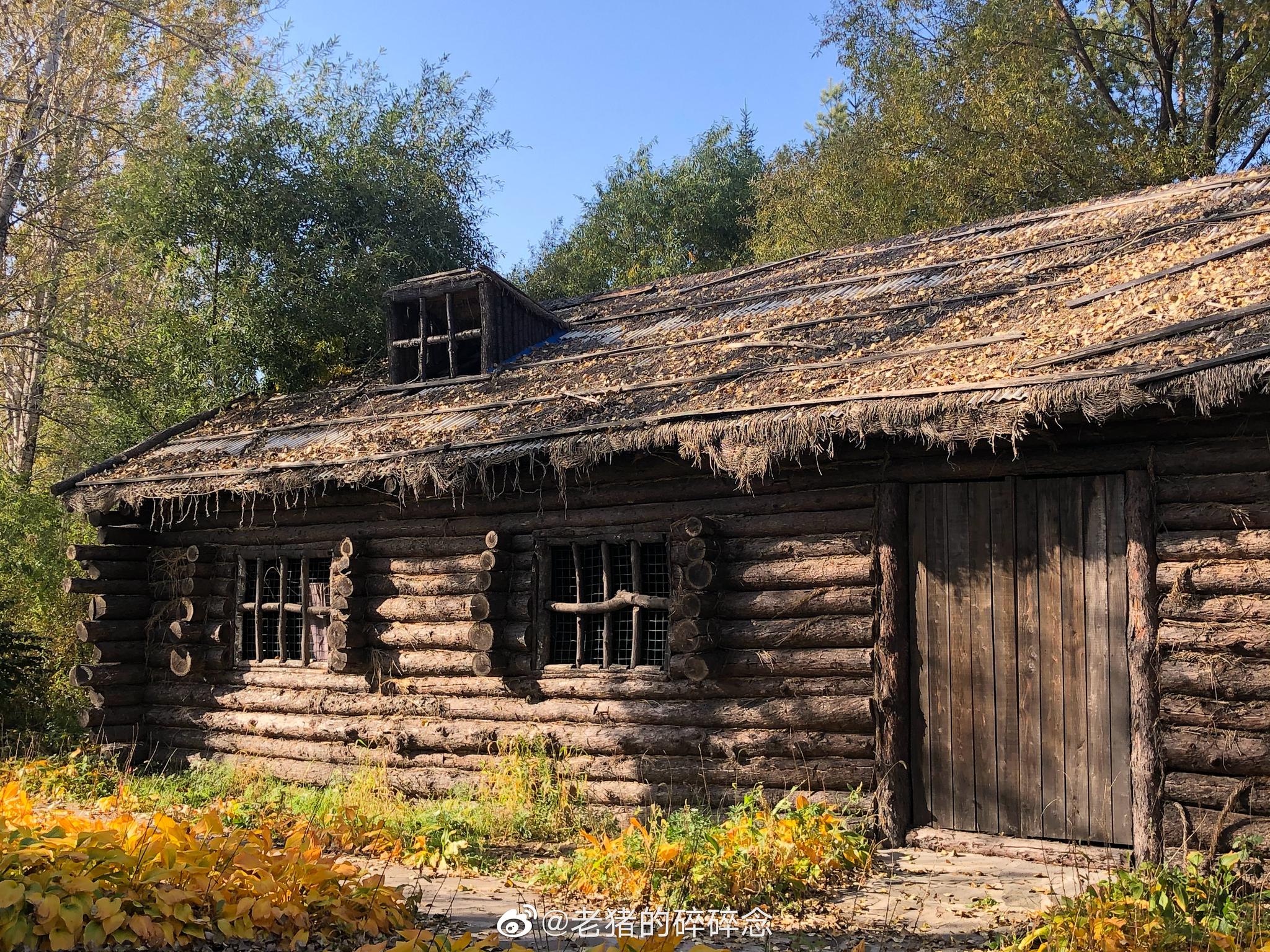 探寻鲜为人知的抗联生命线-"密营"|生命线|密营|东北抗日联军_新浪