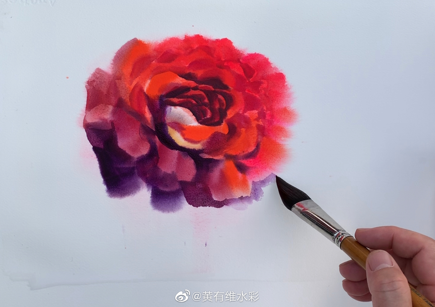 用湿画法花半小时画了一朵盛开的玫瑰