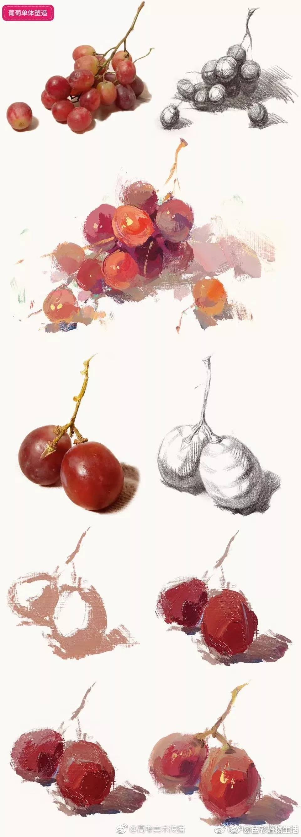 色彩静物单个物体塑造步骤图,还不会塑造的同学赶紧收藏吧!