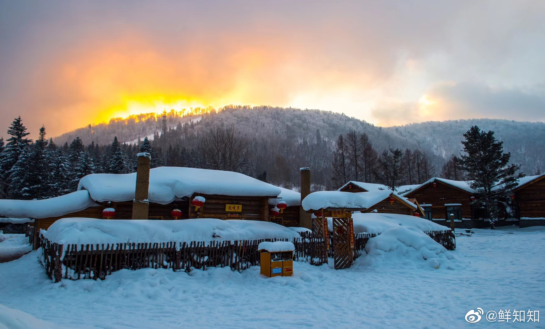 我朋友在东北拍的,美不?