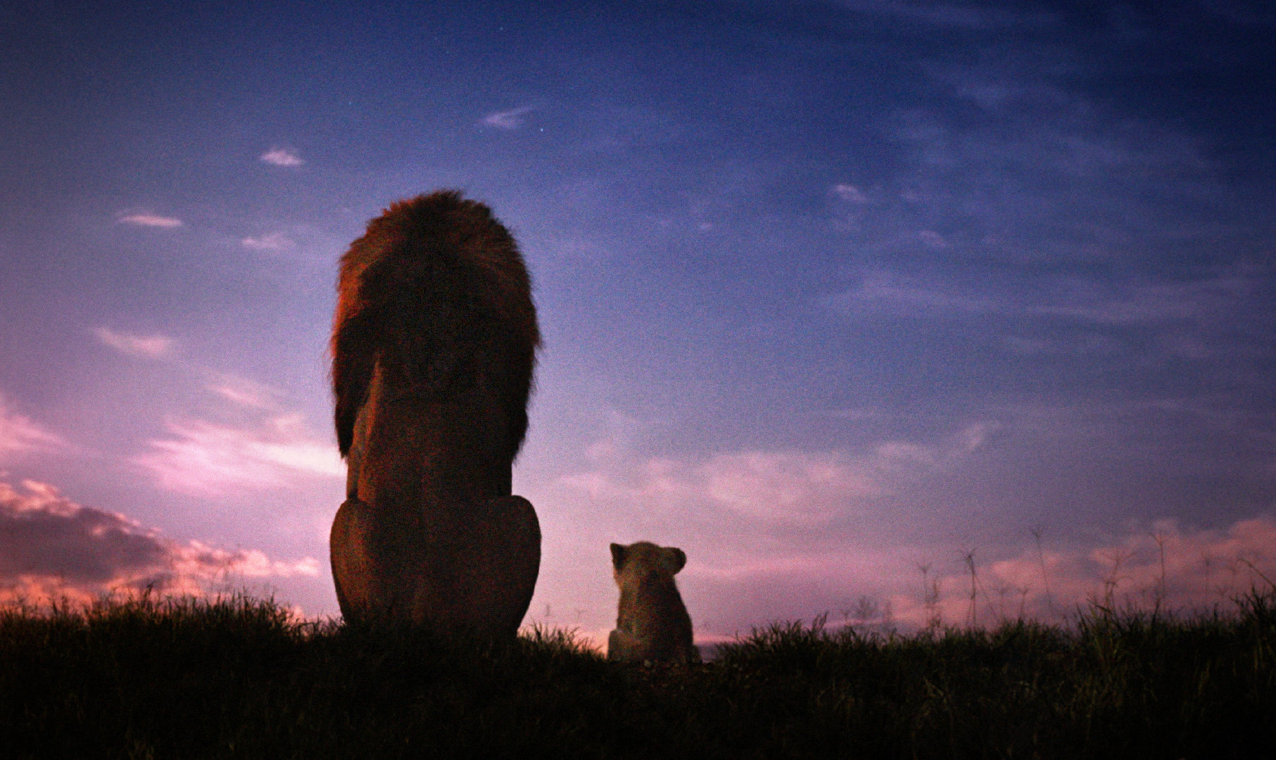 这版狮子王这么催泪的吗好几次不由得泪目木法沙跌落悬崖