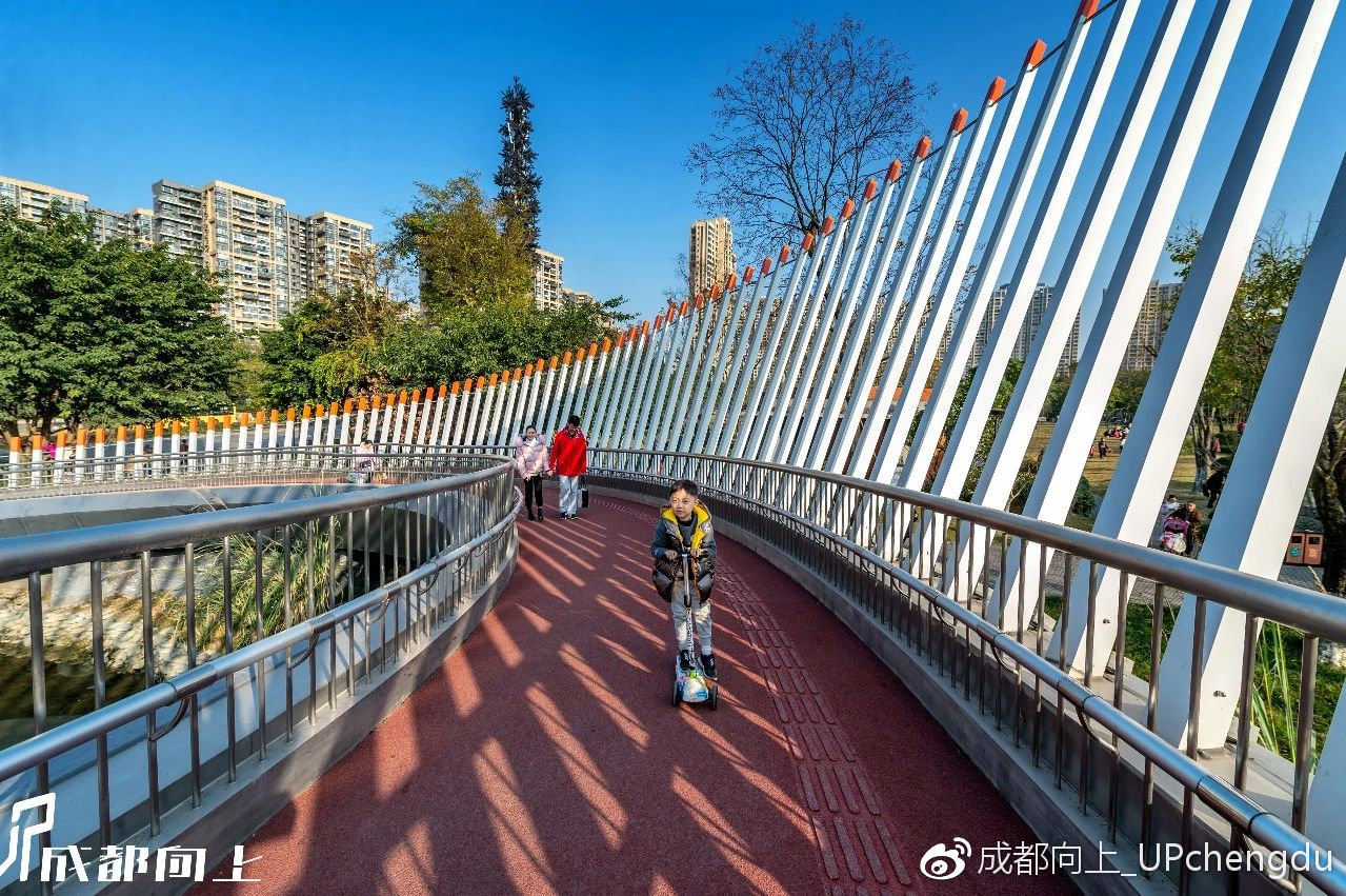 年终巨献！ “ 天府绿道摄影活动 ” 压轴第四波评选结果出炉！|拍摄者|天府|绿道_新浪新闻