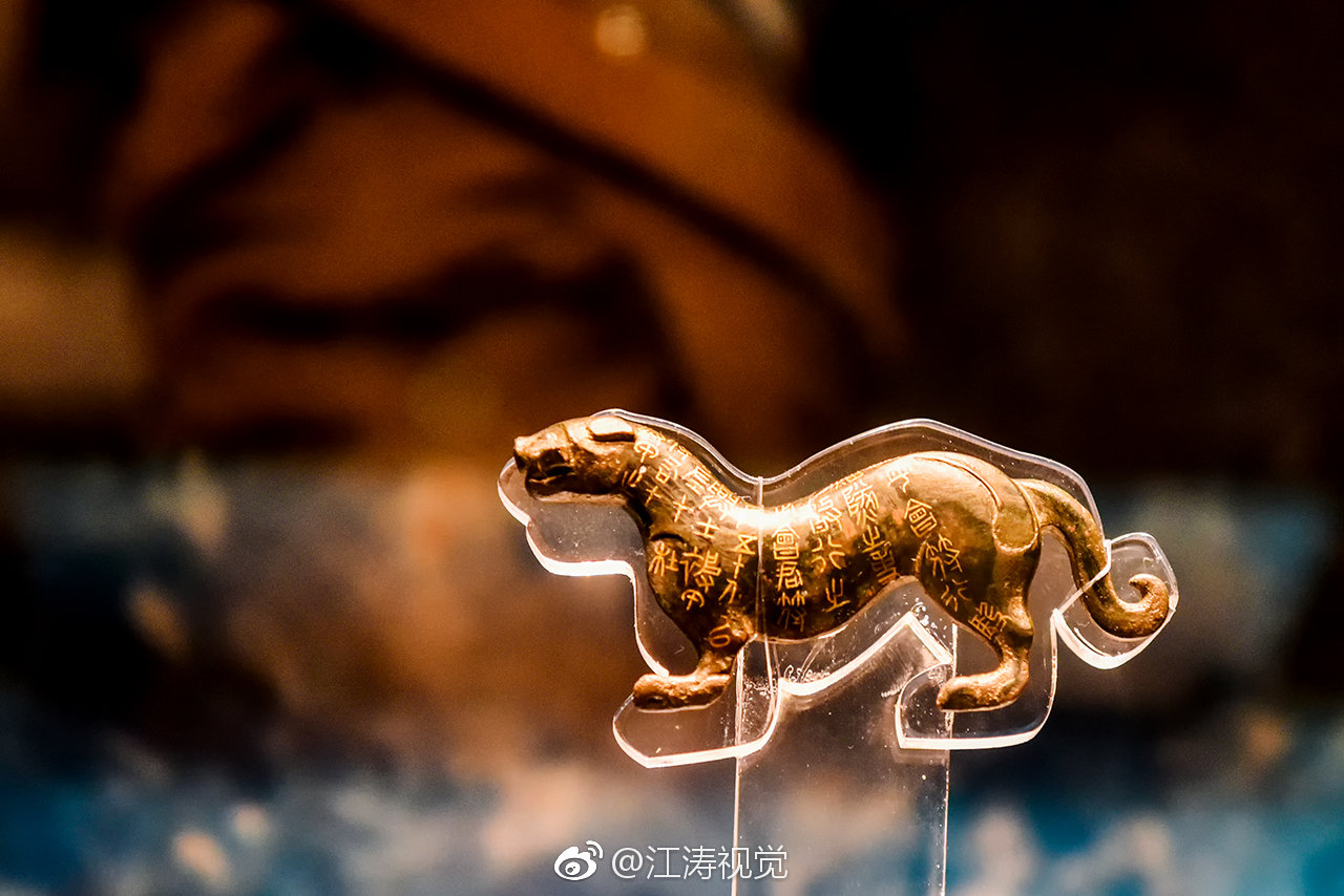 陕西历史博物馆的面积大,展厅多,展出的馆藏文物更是多又全