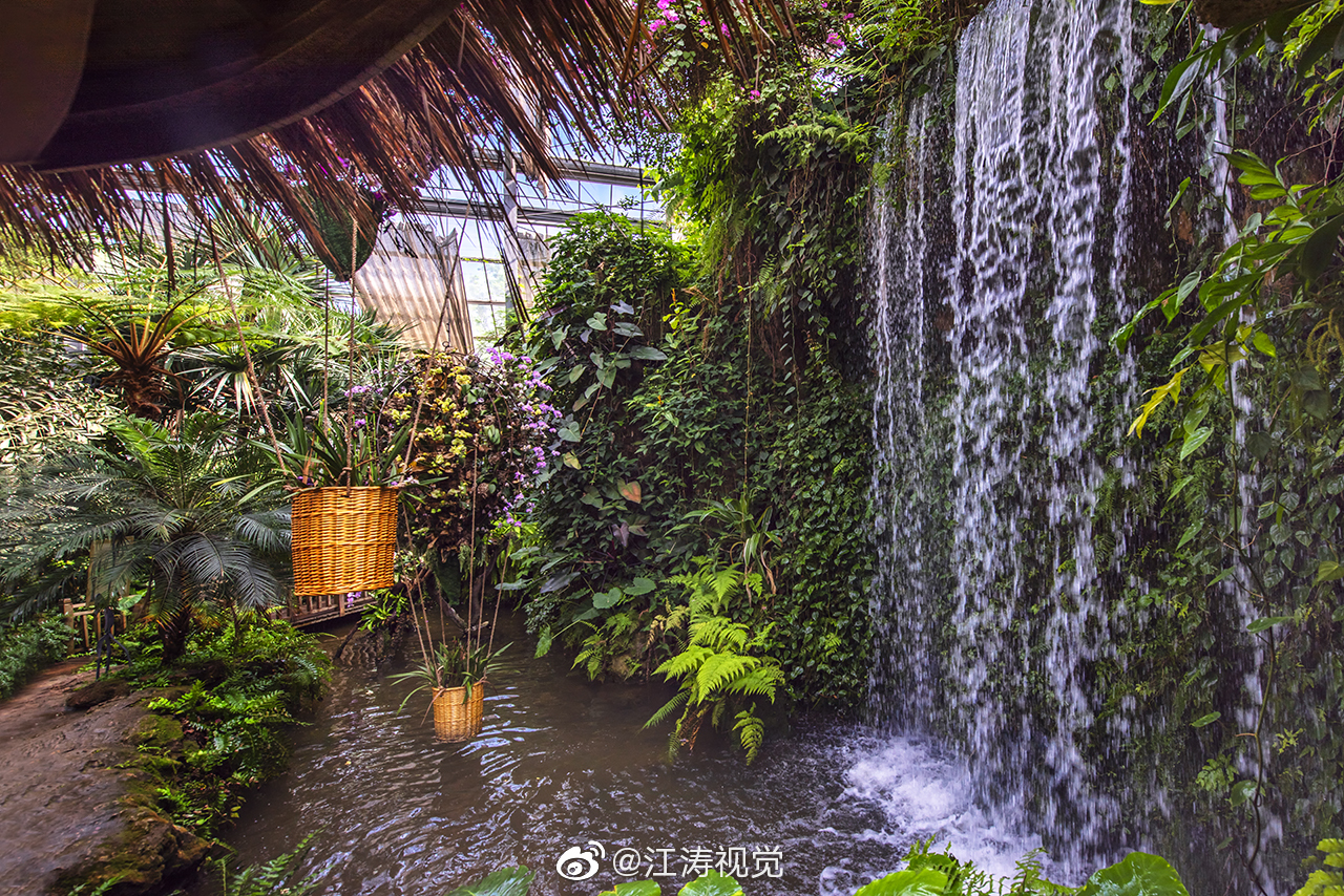 武汉植物园里有个占地3000多平方米的景观温室