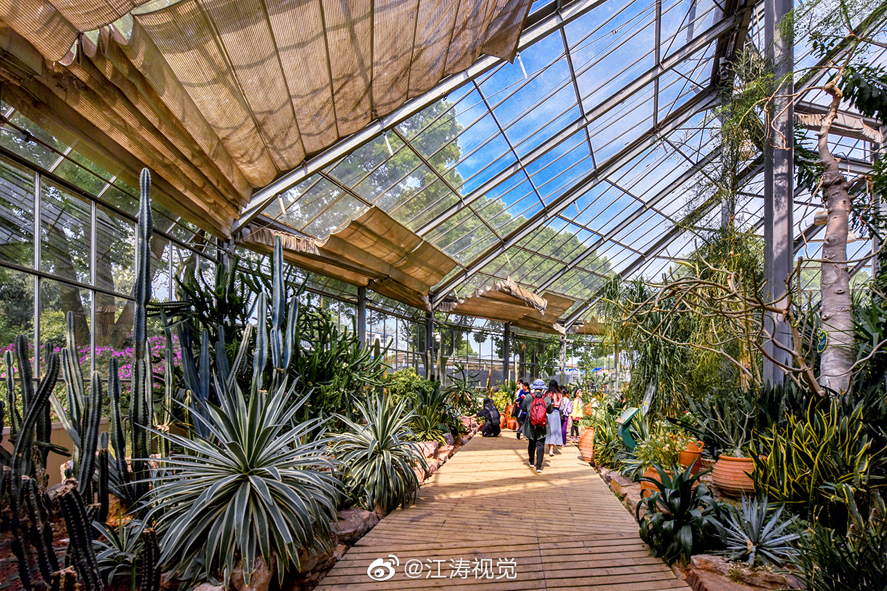 武汉植物园2022年热带兰花展开幕----中国科学院武汉植物园