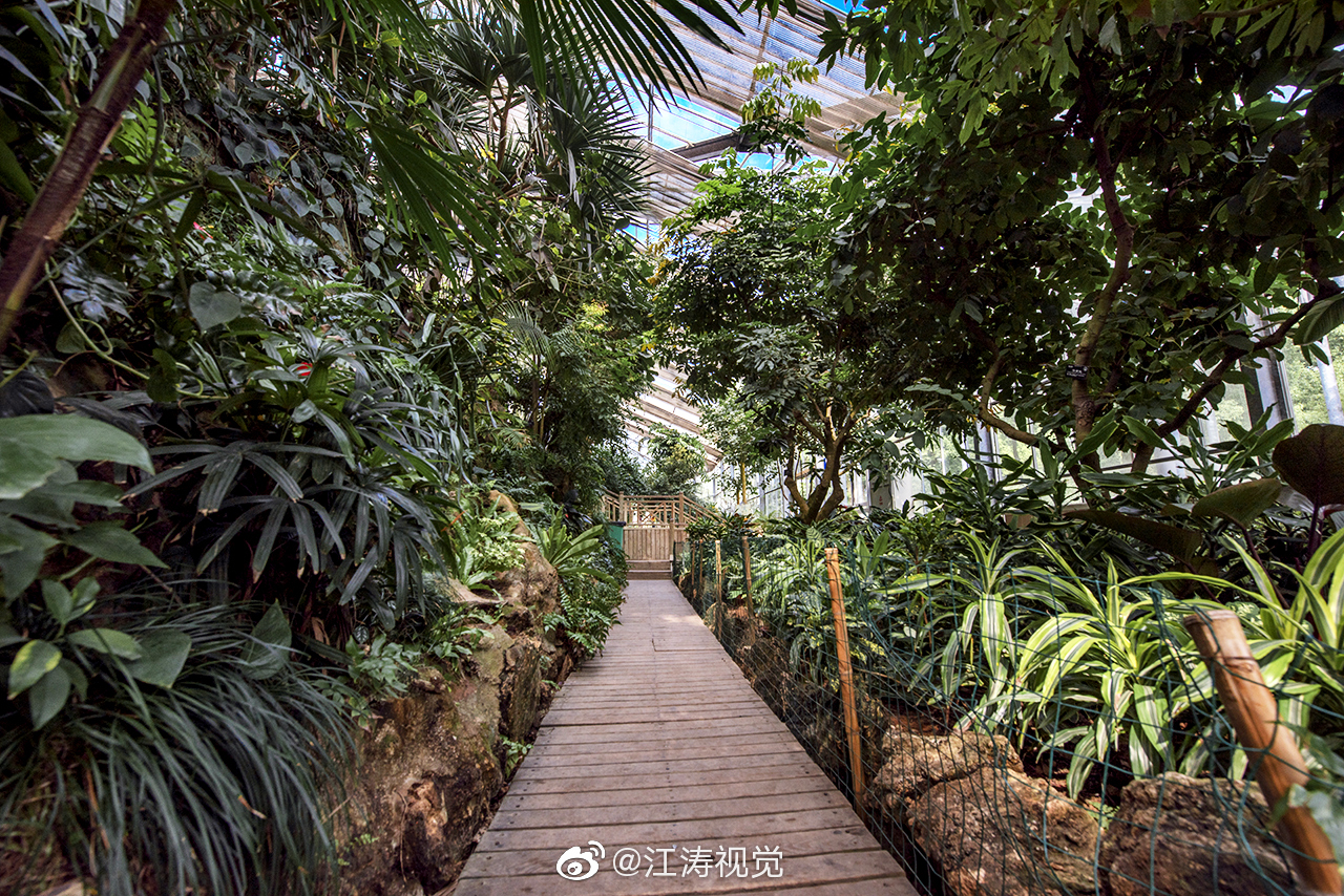 武汉植物园里有个占地3000多平方米的景观温室
