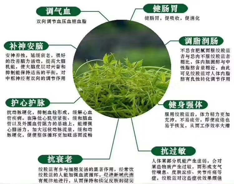 多种b族维生素片补充啥