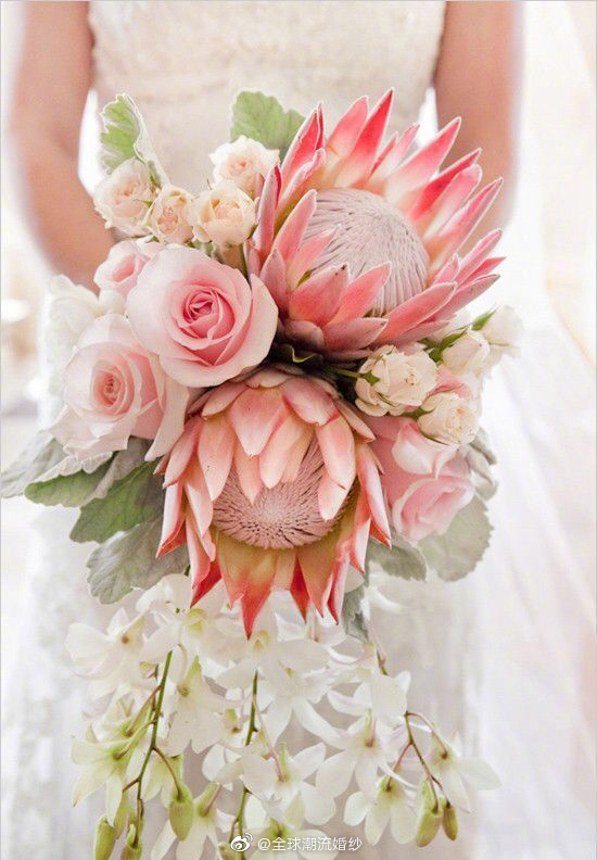 南非帝王花婚礼手捧花