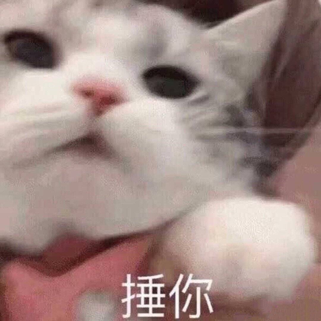 今日份的沙雕无水印表情包捶你我呸你算什么东西我再也不熬夜了|水印|沙雕|表情包_新浪新闻