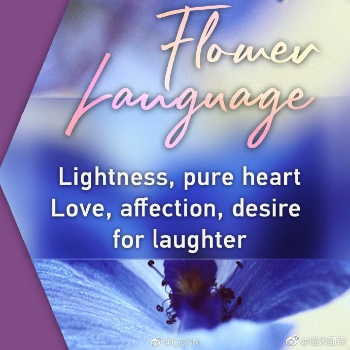 看图了解一下?顺带附一些有趣的事实