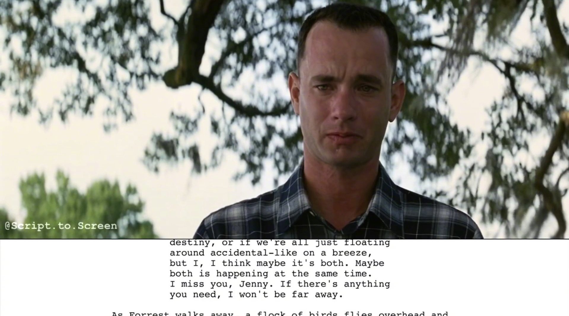 从剧本到影像——《阿甘正传》结尾段落