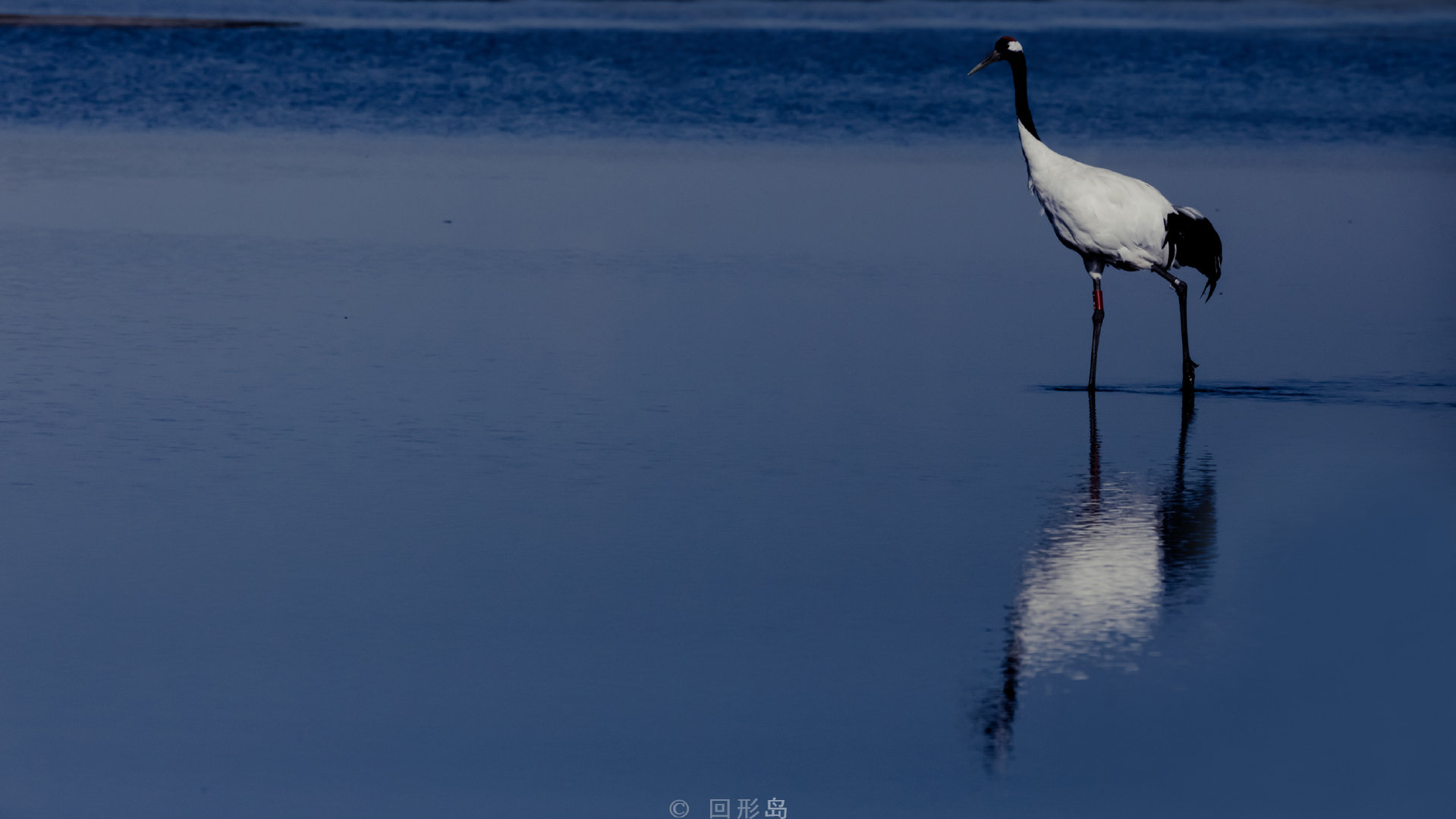 暮影,晚风.宽屏版壁纸. @回形岛