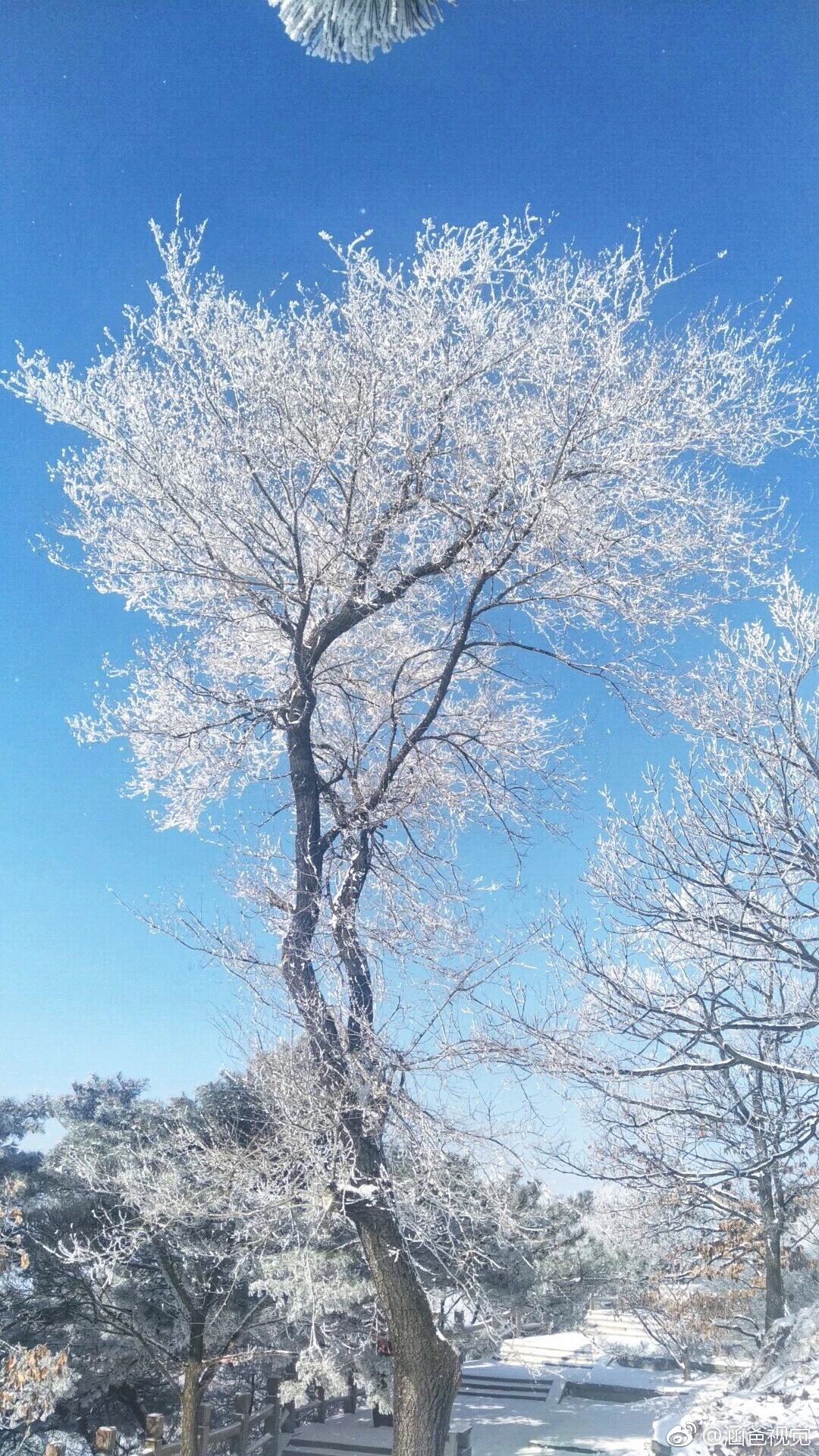 “忽如一夜春风来，千树万树梨花开”用这句诗来形容蒙山