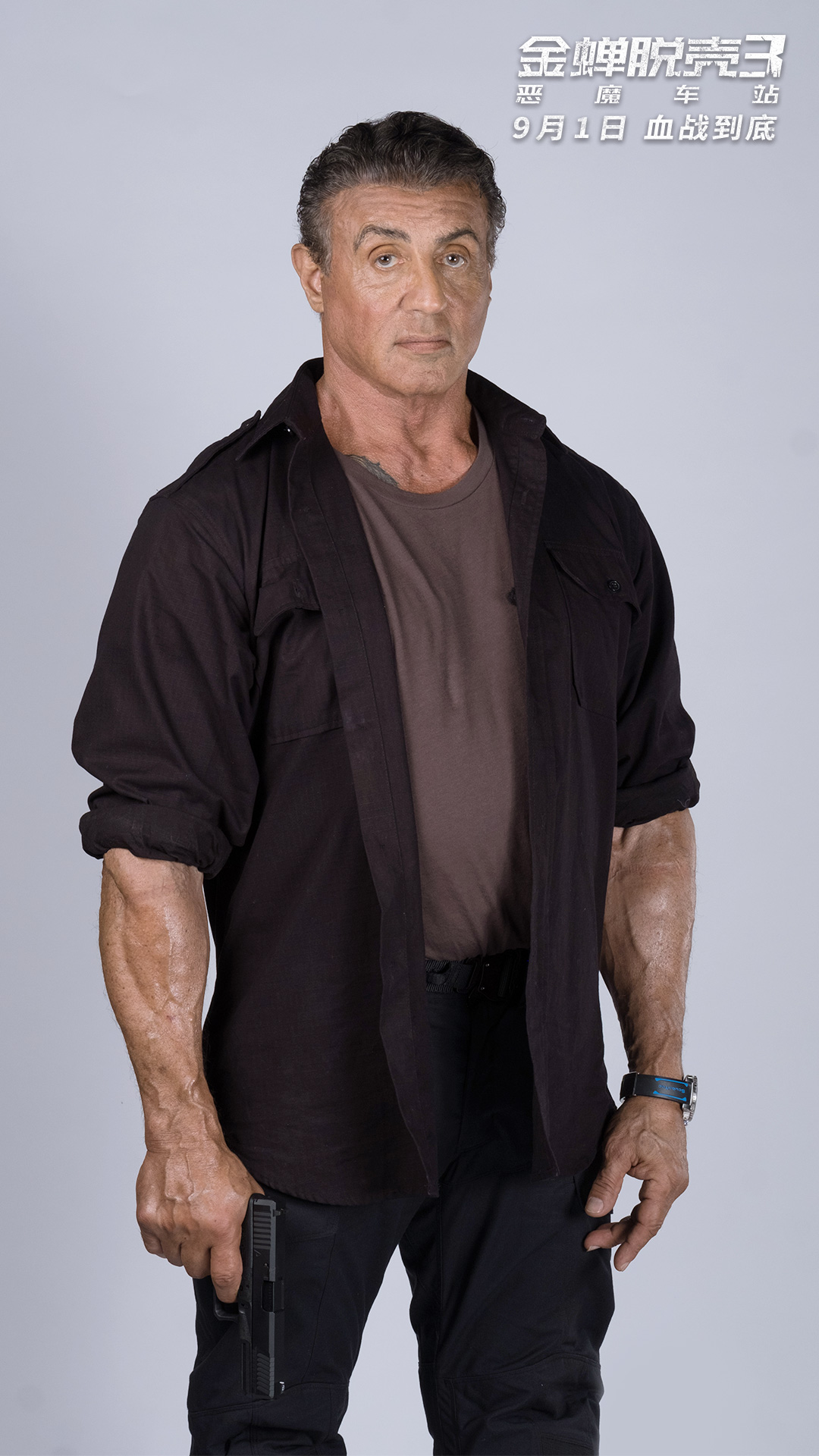 金蝉脱壳3正在热播史泰龙张晋高燃打戏震撼来袭