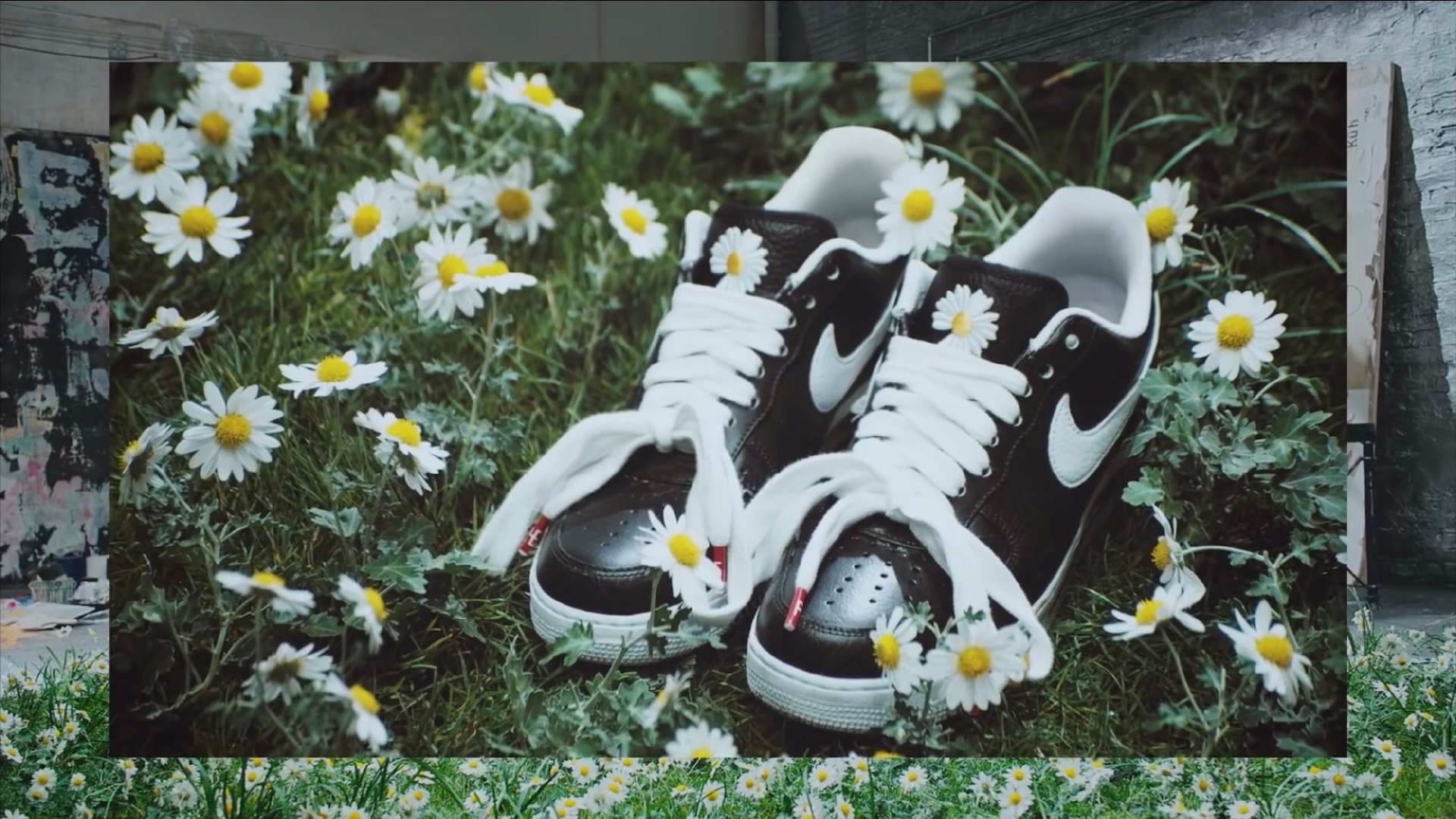 簇拥在雏菊花丛中的peaceminusonexnikeairforce1paranoise