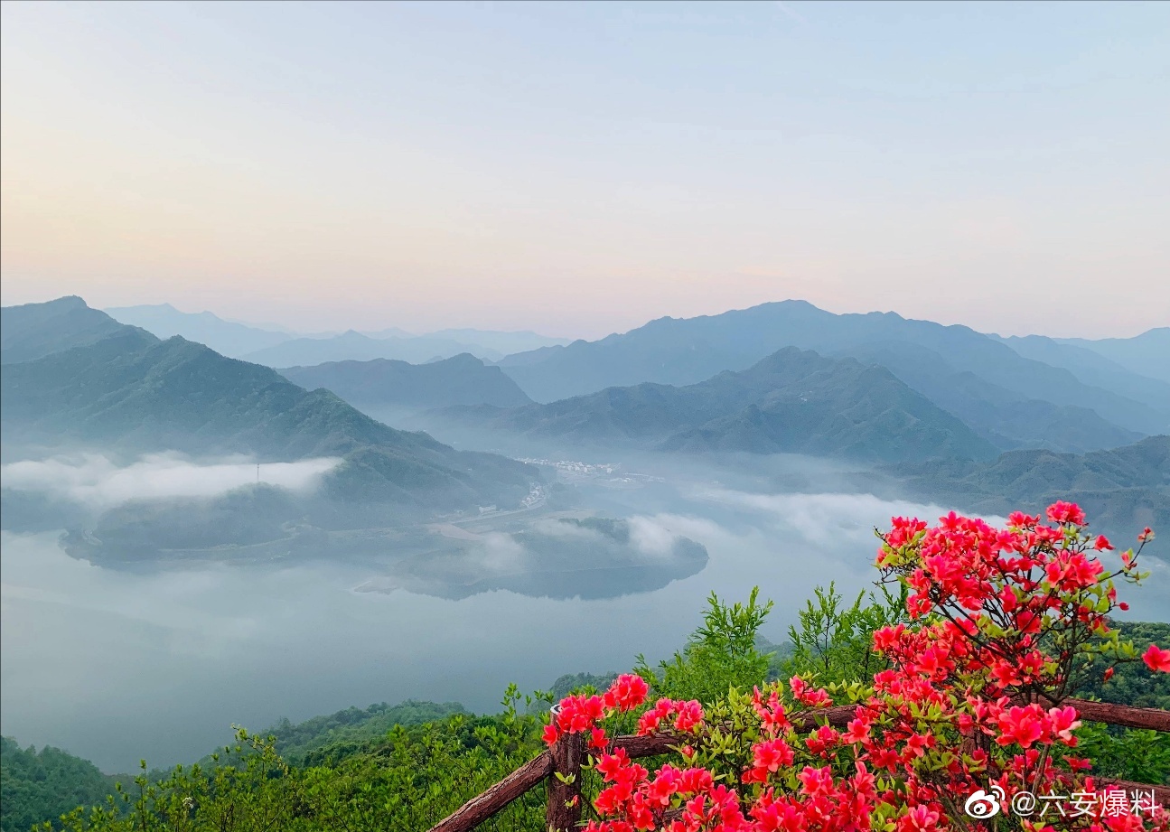六安霍山县屋脊山,看云海日出,山花烂漫,感受着大自然的无限春光