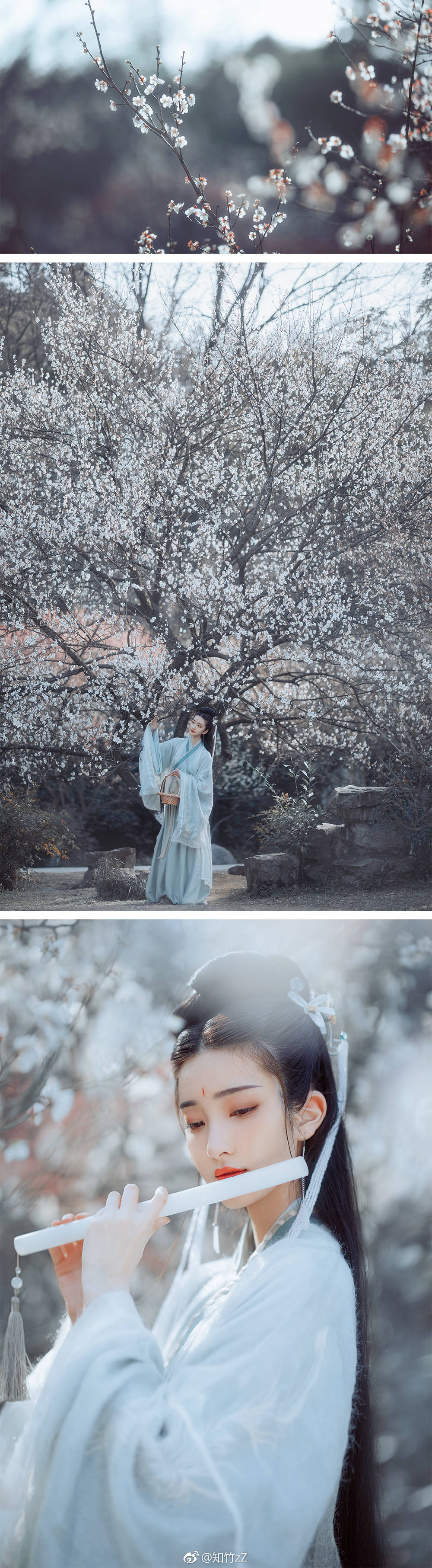 玉骨那愁瘴雾,冰姿自有仙风.@知竹zz 出镜:@lovote周宏
