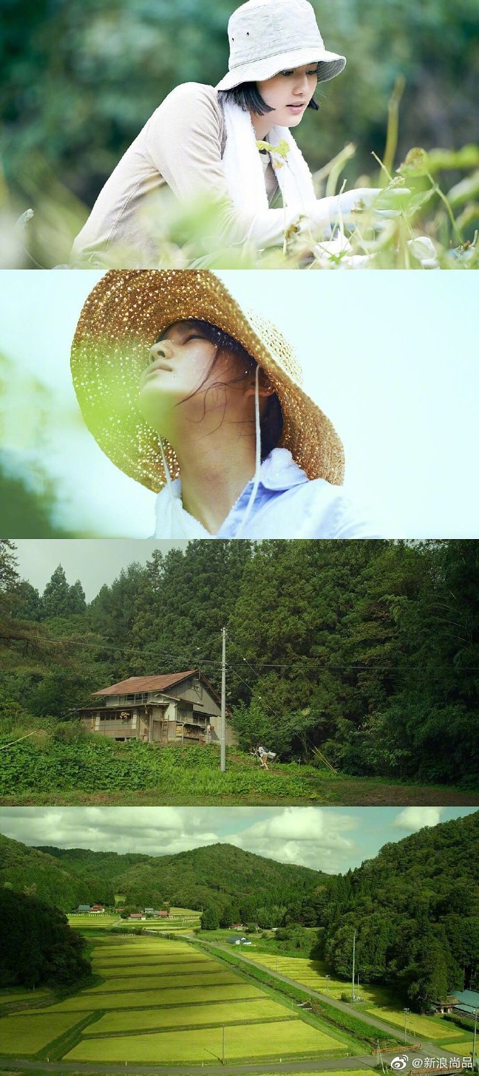 夏秋篇