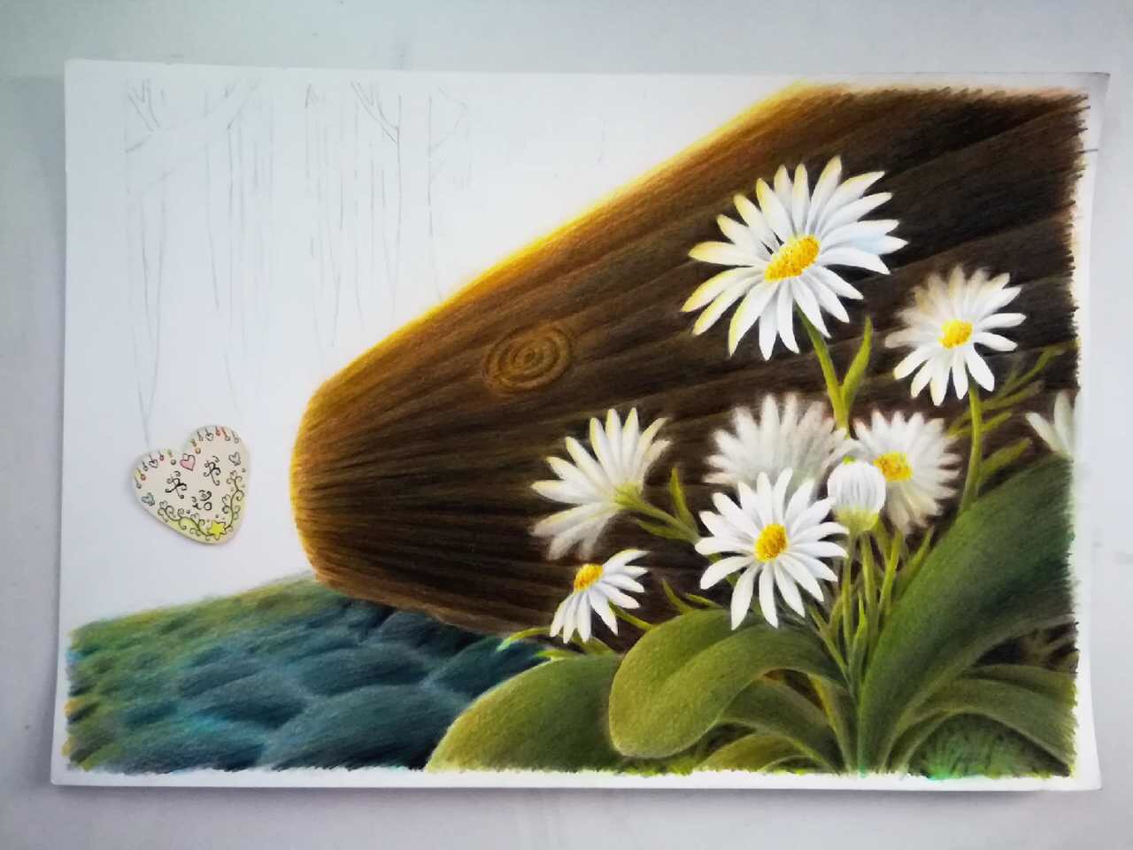 书书语原创彩铅绘 林中雏菊 夏目花草茶 书书语 书书语原创彩铅绘 林中雏菊 夏目花草茶 书书语