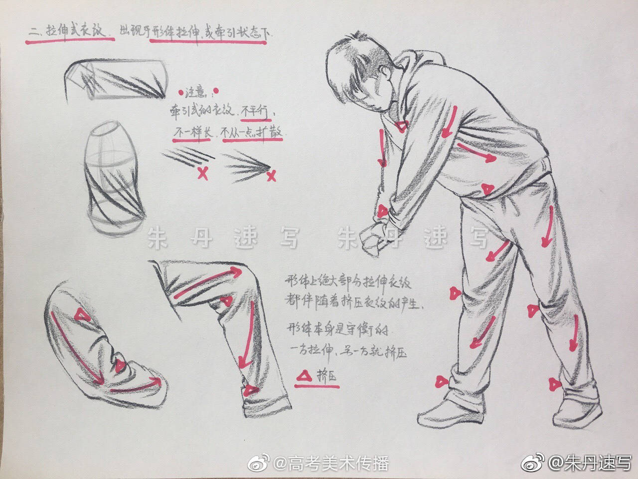 速写局部教学笔记分享作者朱丹
