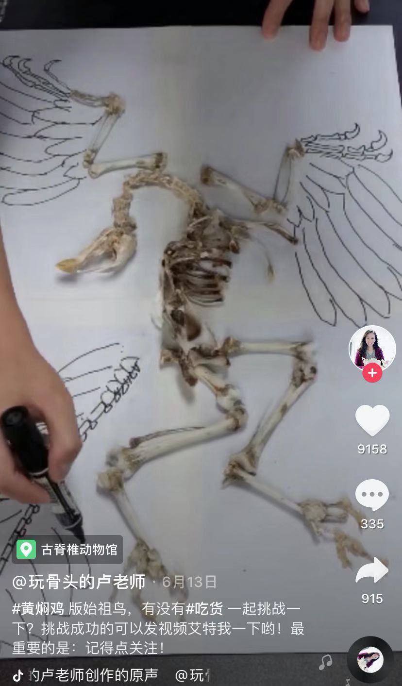 拼鸡骨头被狂赞100w !这是什么神仙老师?