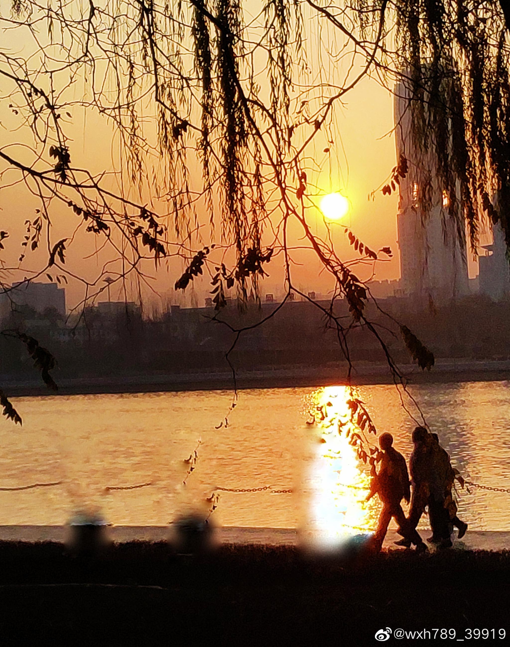 夕阳红图