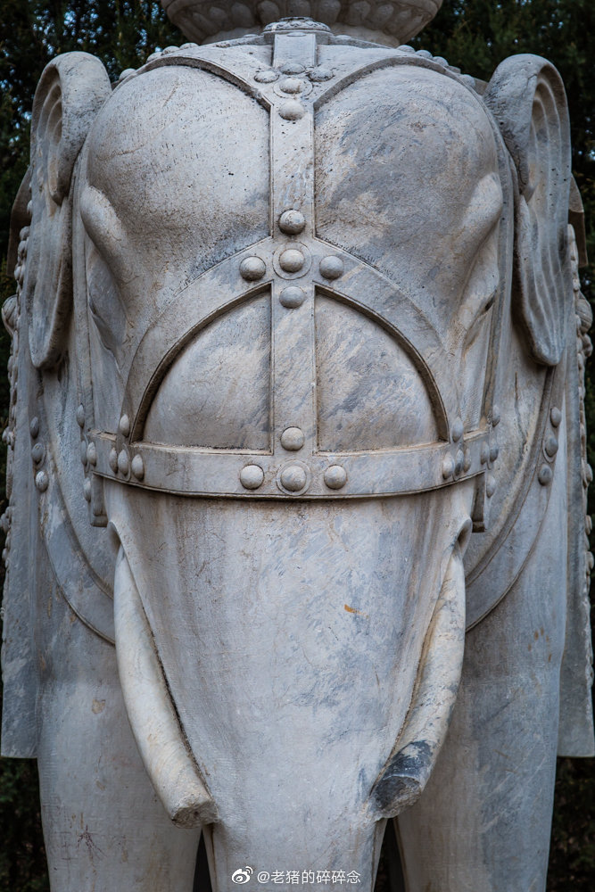 实拍清西陵石像生及望柱