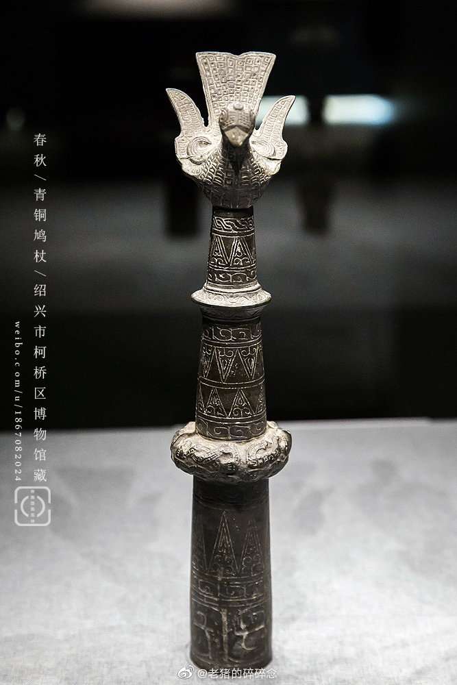 断发文身,实拍春秋青铜鸠杖|古越|形象|生活|柯桥区|图腾_新浪新闻