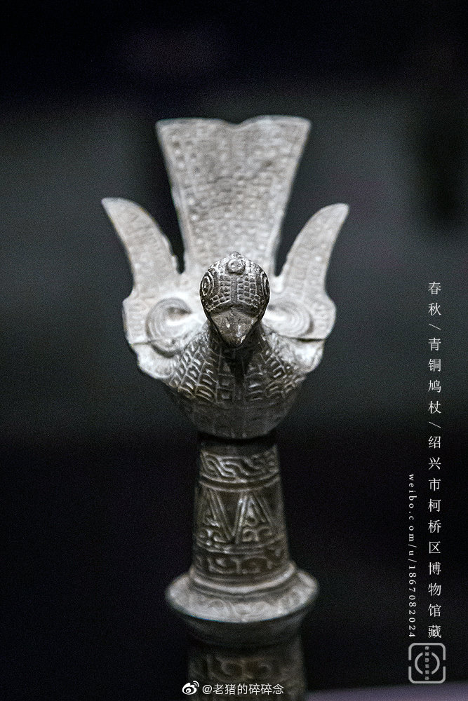 断发文身,实拍春秋青铜鸠杖