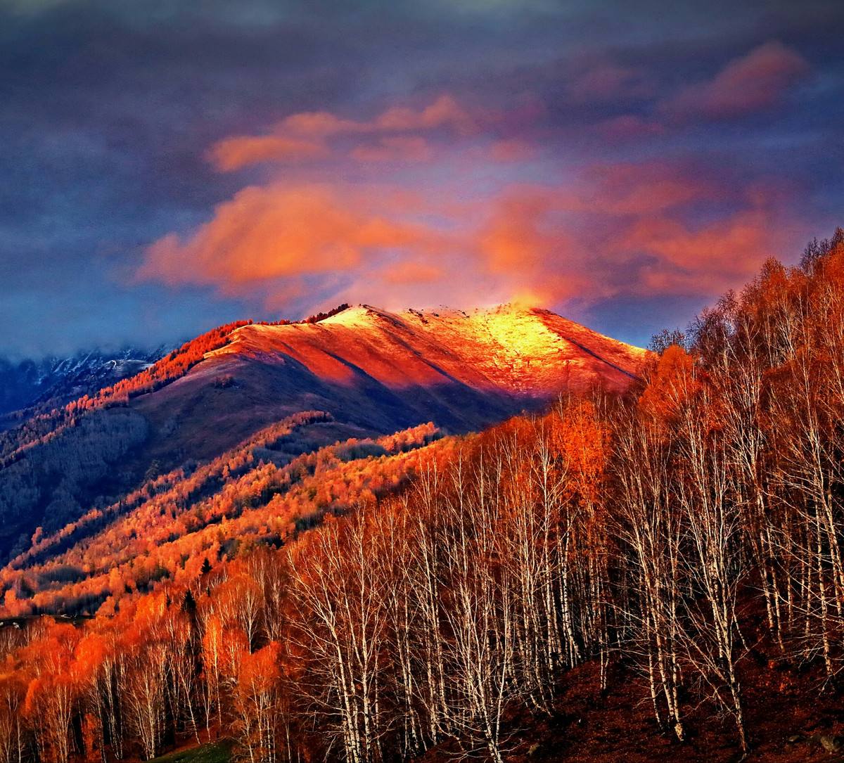 傍晚梅里雪山群峰又迎来了一次日落