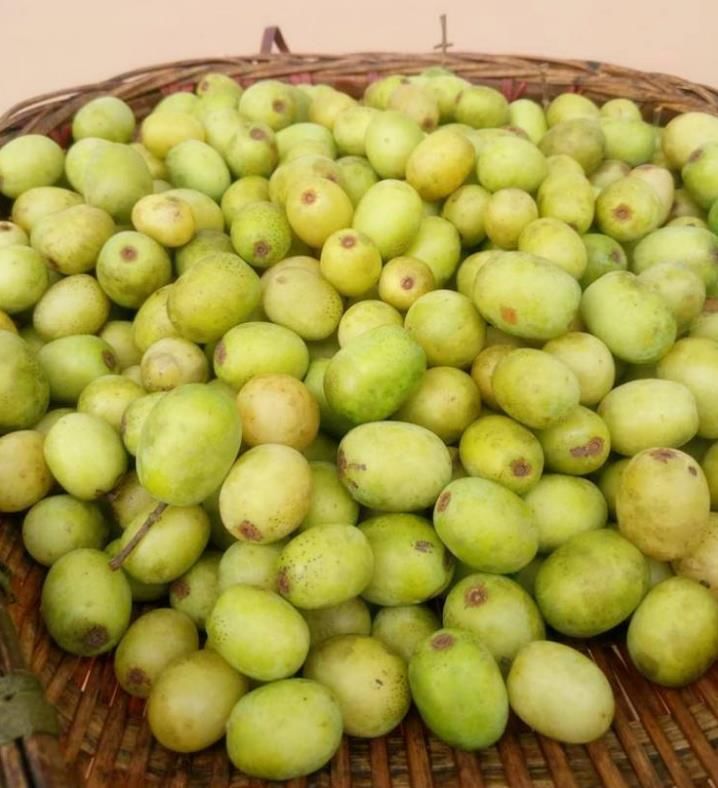 农村一种野果人称鼻涕果做成酸枣糕是一绝营养价值高