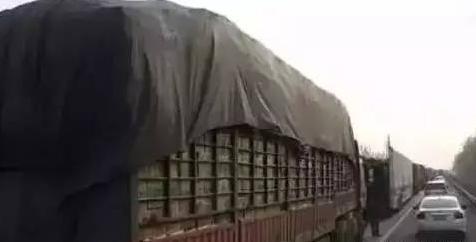 自驾出行安全第一，千万别在高速上干这10件事