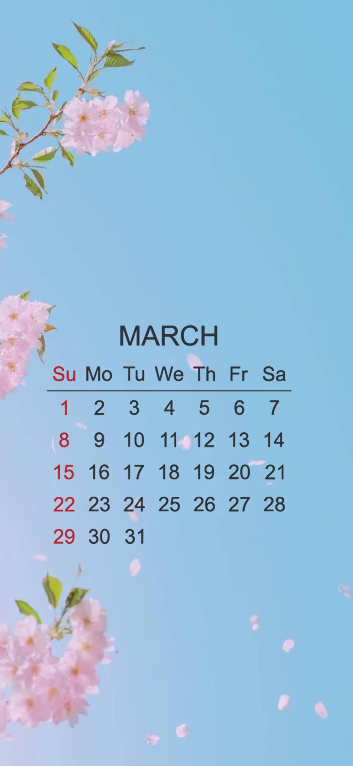 英语日历制作三月图片图片