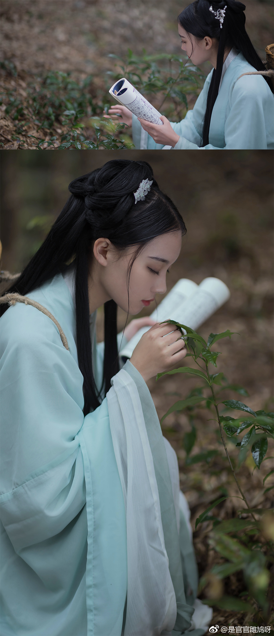 "捻二两首乌在纸上 药引是黄粱 半夏新月照千里光 与君