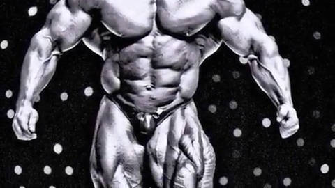 1993年奥林匹亚先生,背王多里安·耶茨.