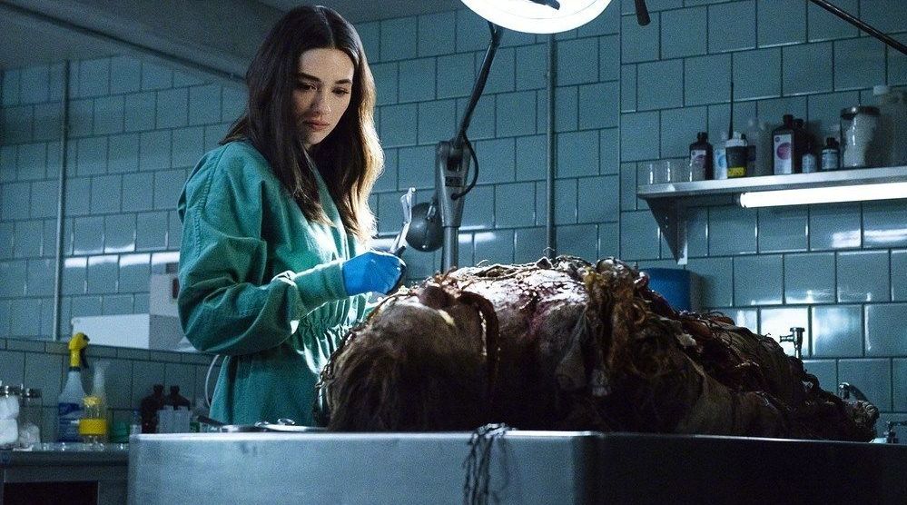 温子仁监制的dc剧集《沼泽怪物》第一季第一集上线,整体不功不过