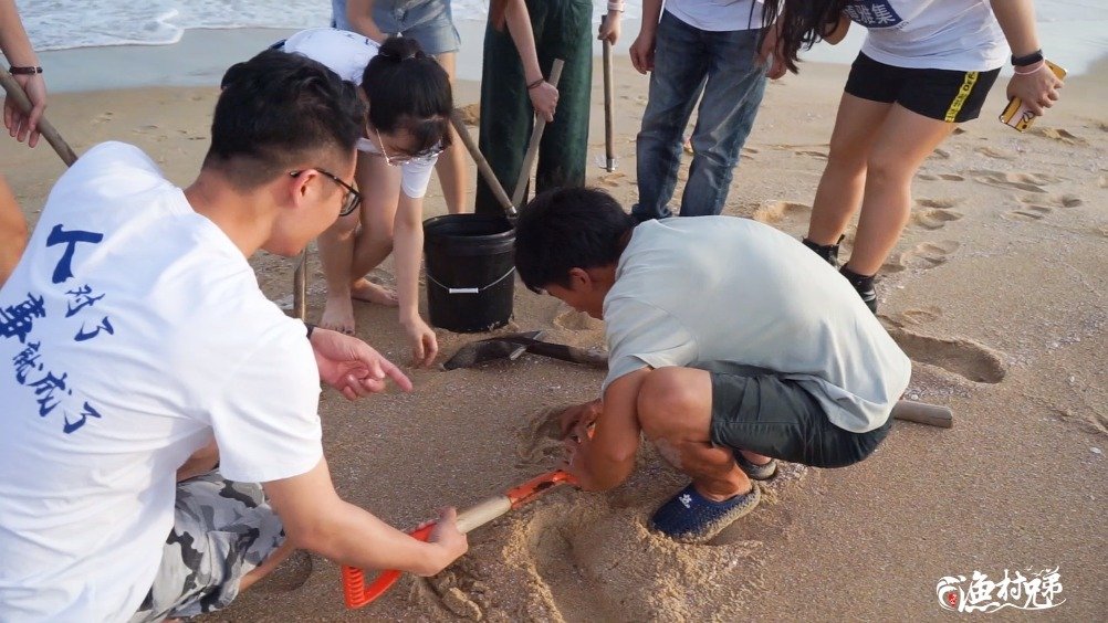 广州公司来海陵岛团建,渔村兄弟带他们赶海体验渔民生活,好想去